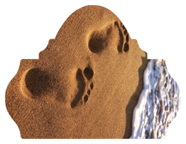DARAY L 127 (Beach) Footprints